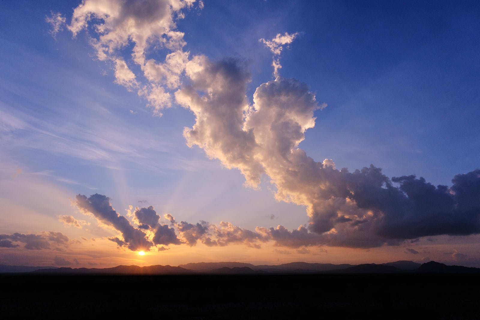 Sometimes you are the flower.