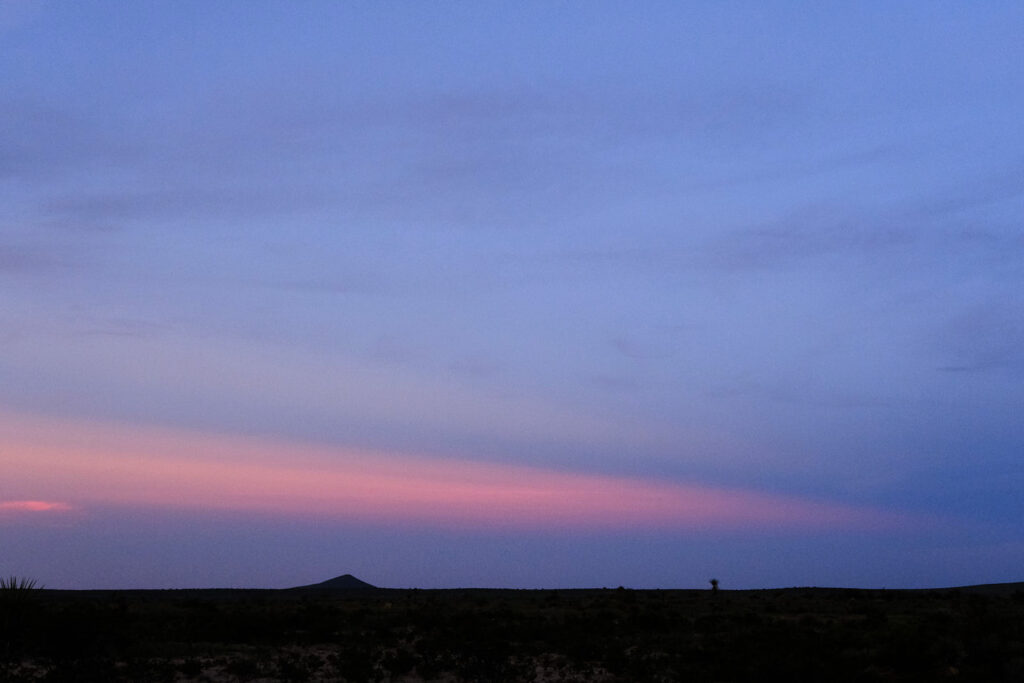 where gardens waft and cats sit quietly