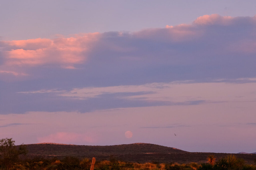 This hunger drove me