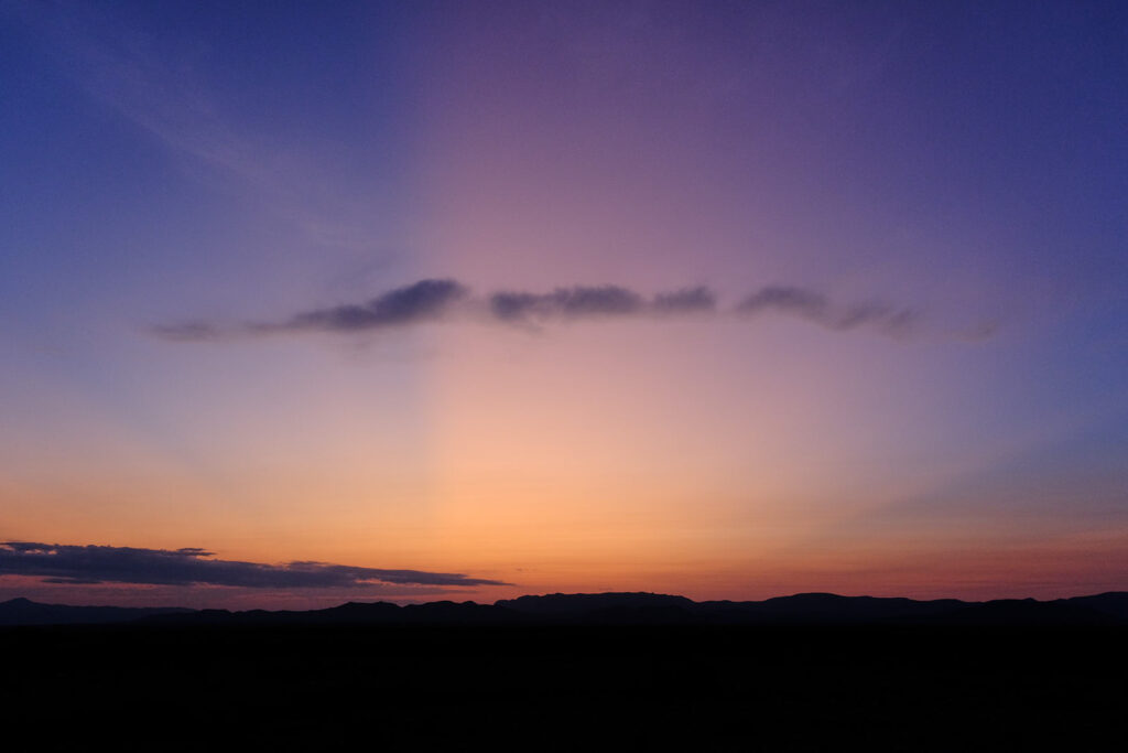 impossible blossom, to sweet impossible blossom.
—Li-Young Lee