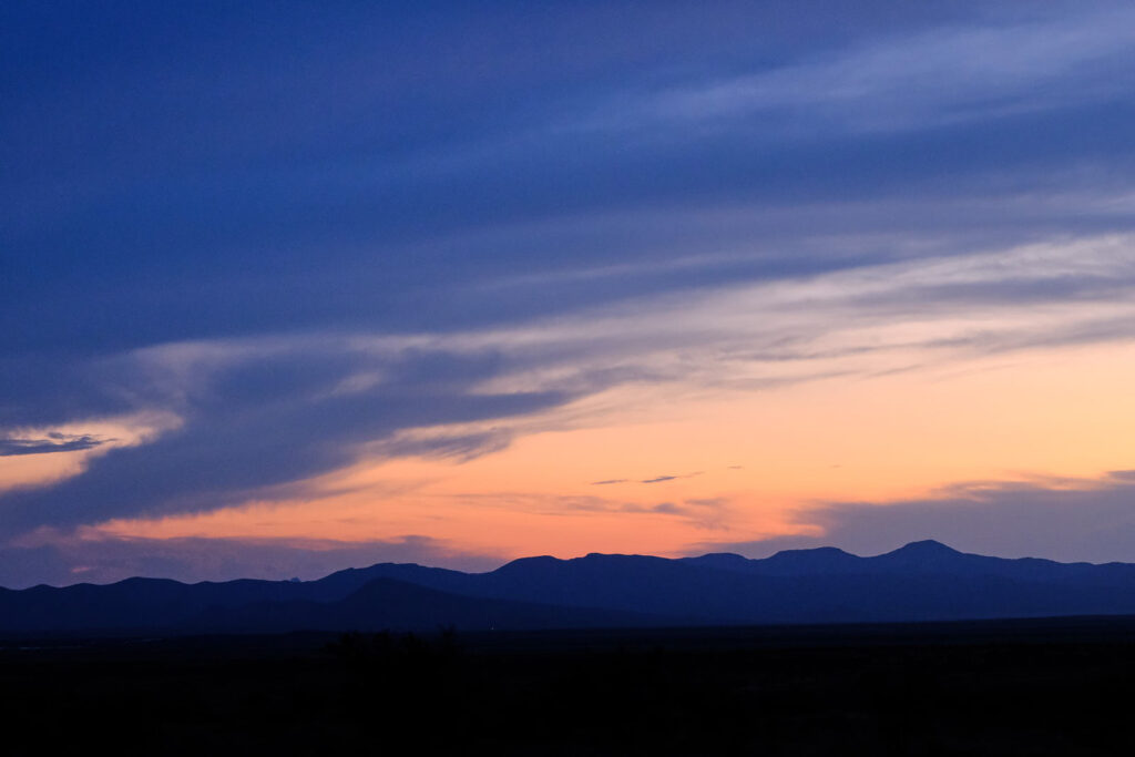 let’s give a little —Adrienne Rich