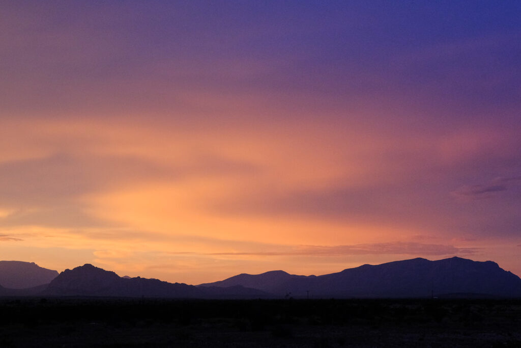 The rain proclaims these trees,