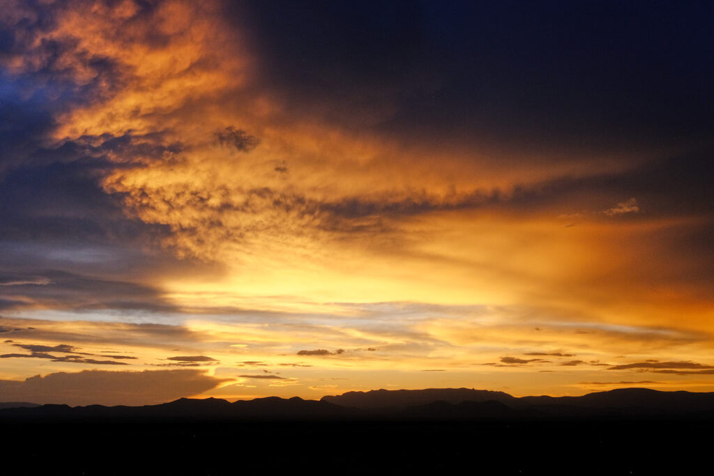 the trees tell of the sun.