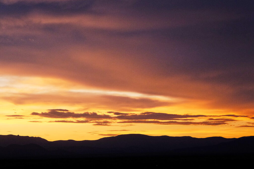 Let birds, let birds. —Linda Gregg