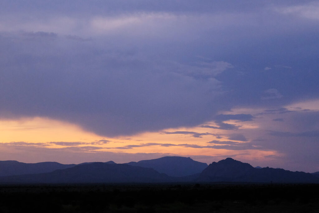 It can grow anywhere,
 —Kim Addonizio