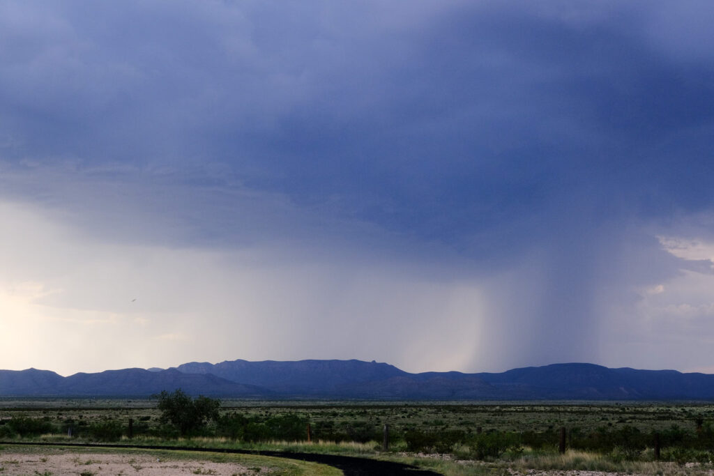 arrest my heart, my brain to throb is sworn, —Rainer Maria Rilke, translated by Babette Deutsch and Avrahm Yarmolinsky