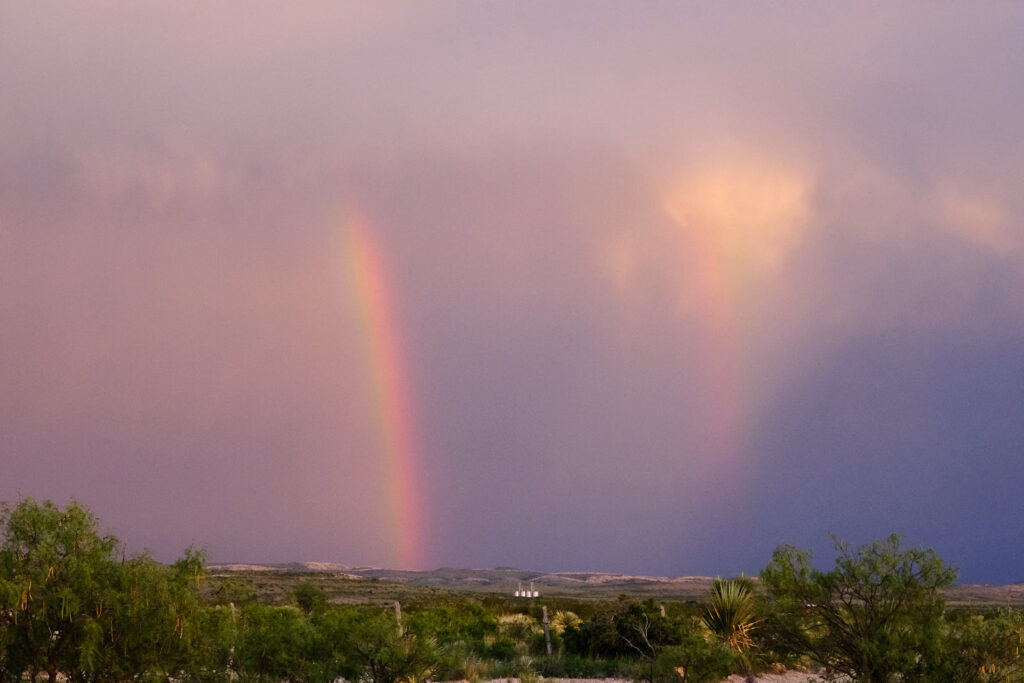 and futile hour, —Ricardo Reis, translated by Margaret Jull Costa and Patricio Ferrari