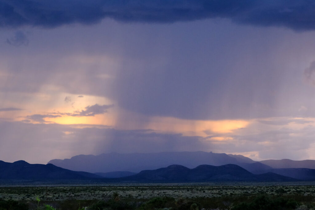 that start the trees to flower