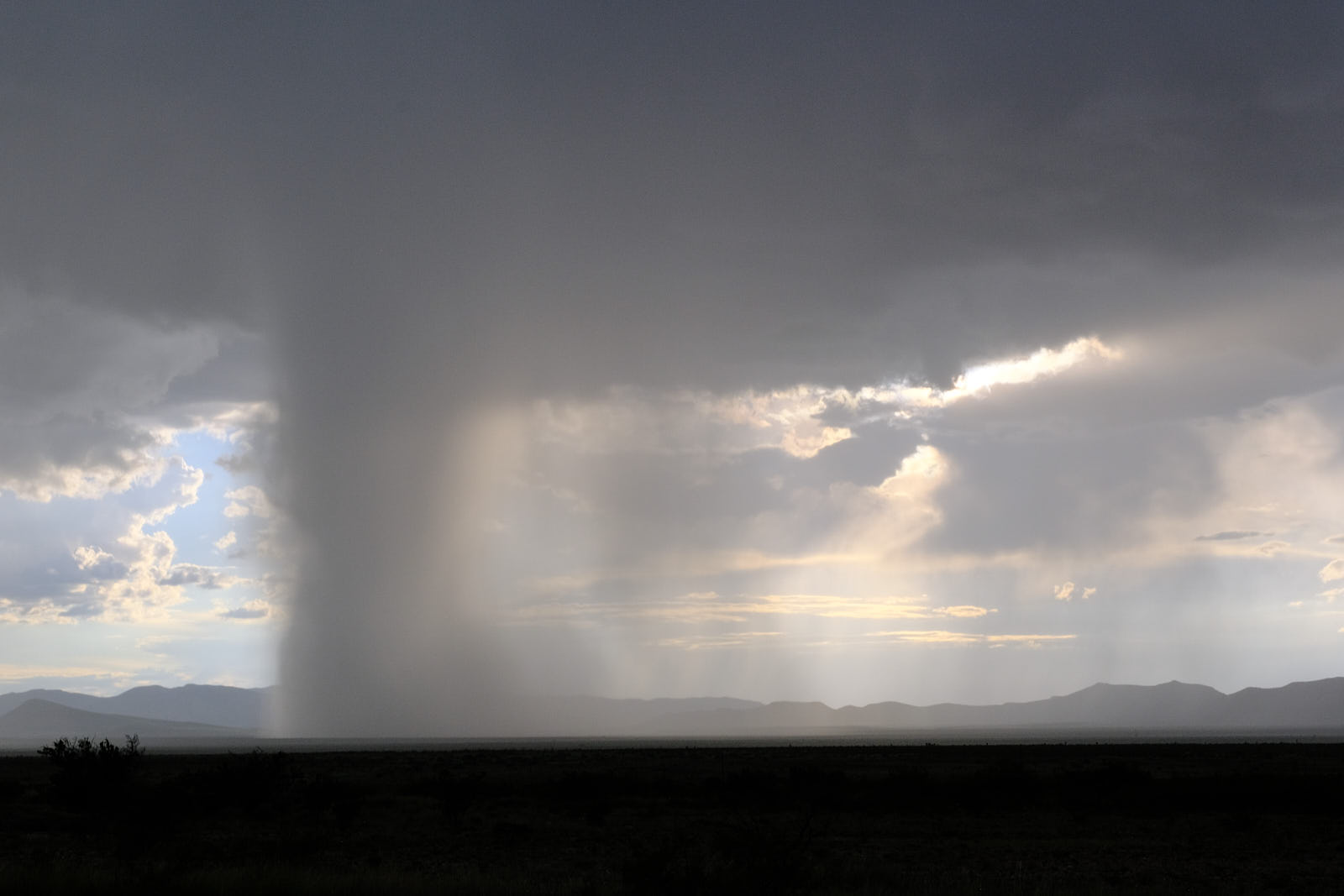 None of your blustering entrances