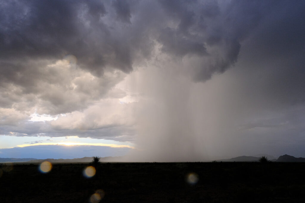 sighs when you read something sad, —Jane Kenyon