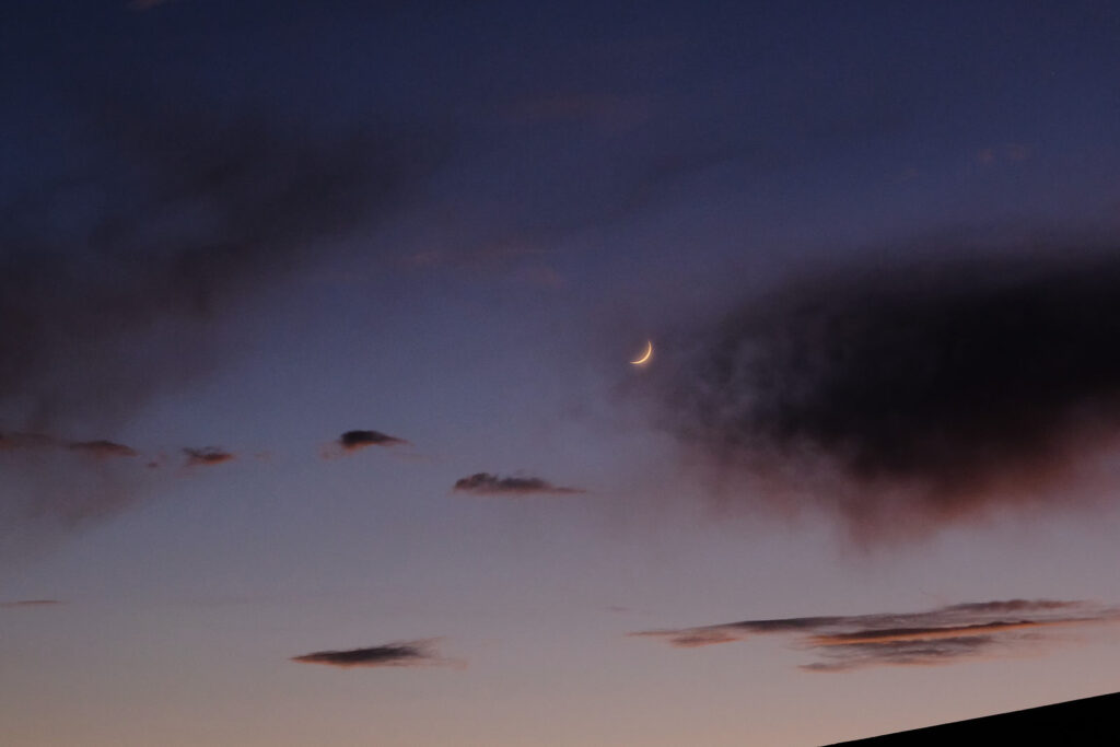 depth in the mountain lake began, —William Stafford