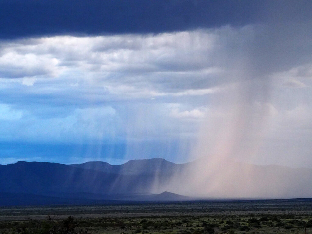 with the green advent of next season’s rains