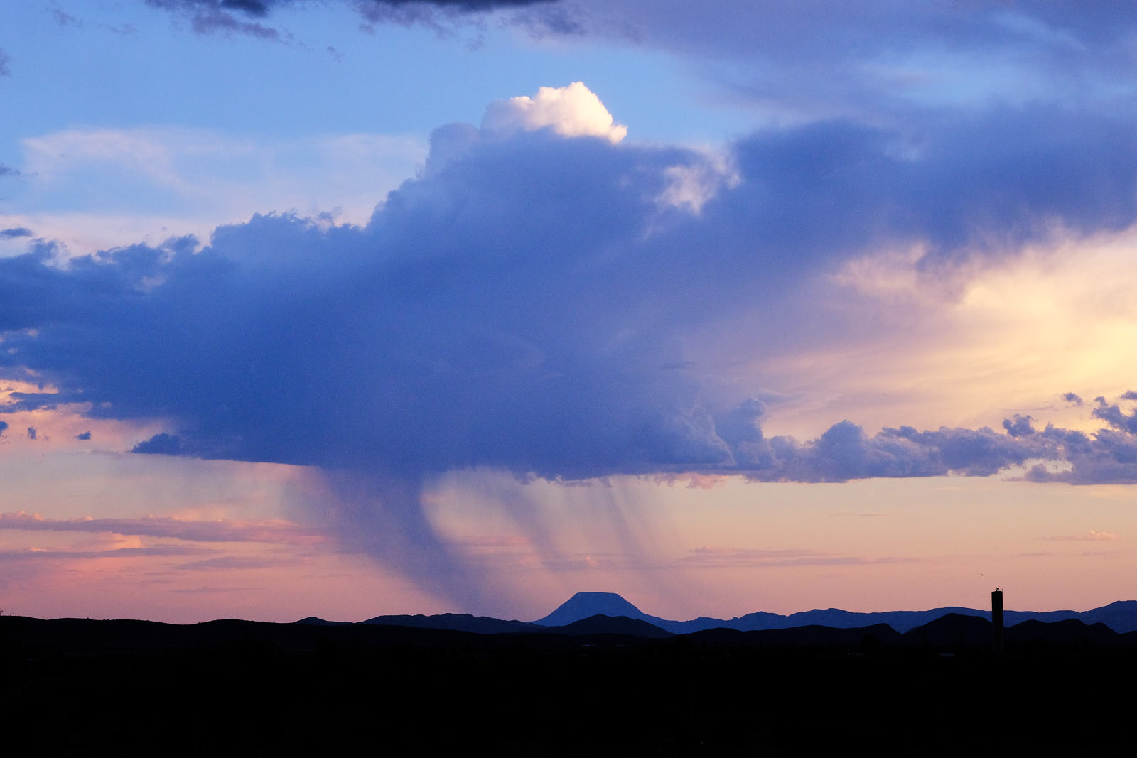 those red silk cords,