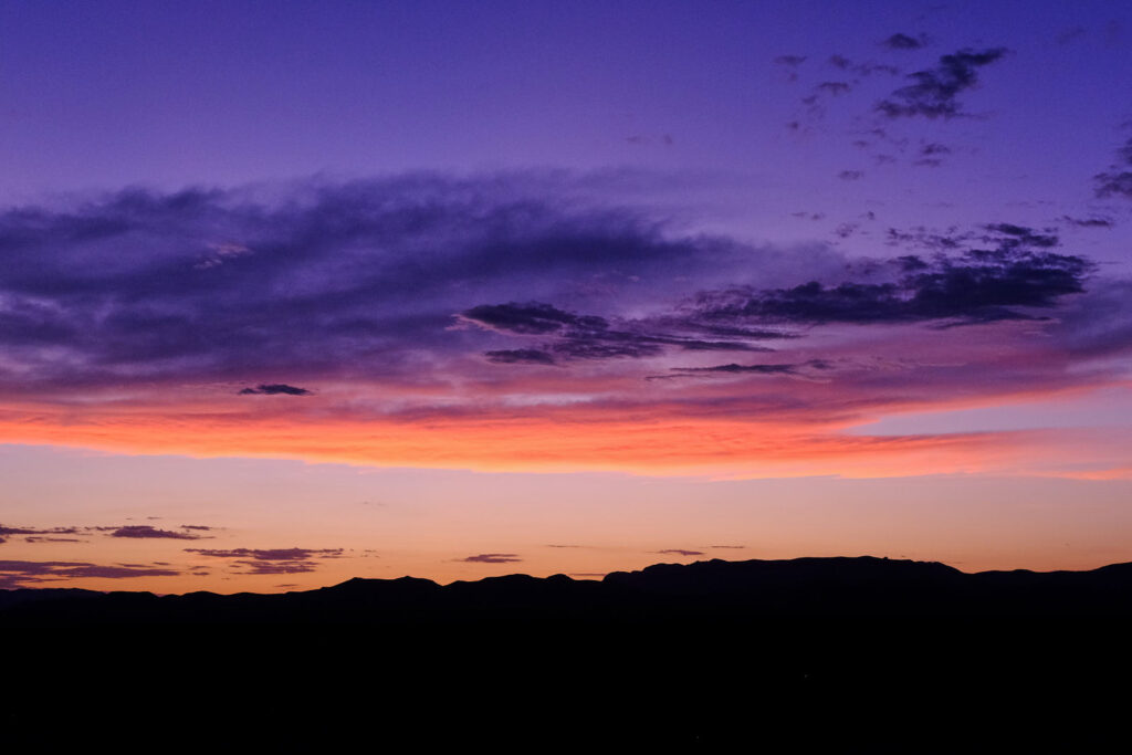 It is all a fucking miracle. —Louise Erdrich