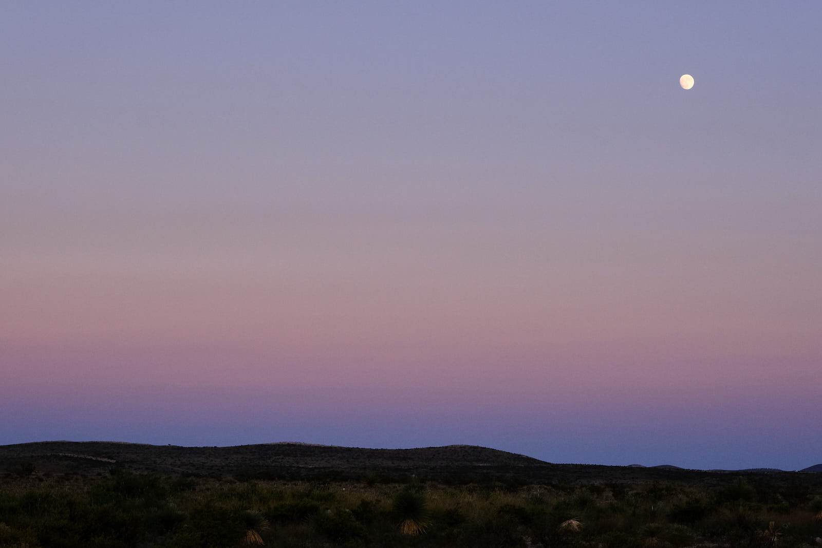 You will not leave me wrecked or vengeful,