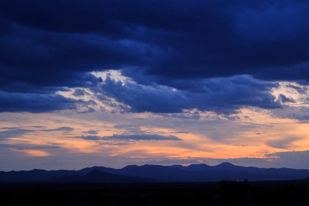 sad animal, this sack of hair. Forget the golden future —Maggie Smith