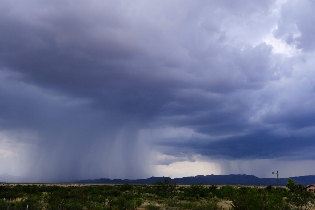 to be a lover, but oh how I forget its face