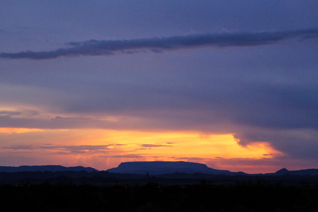 this was the case: —Fanny Howe