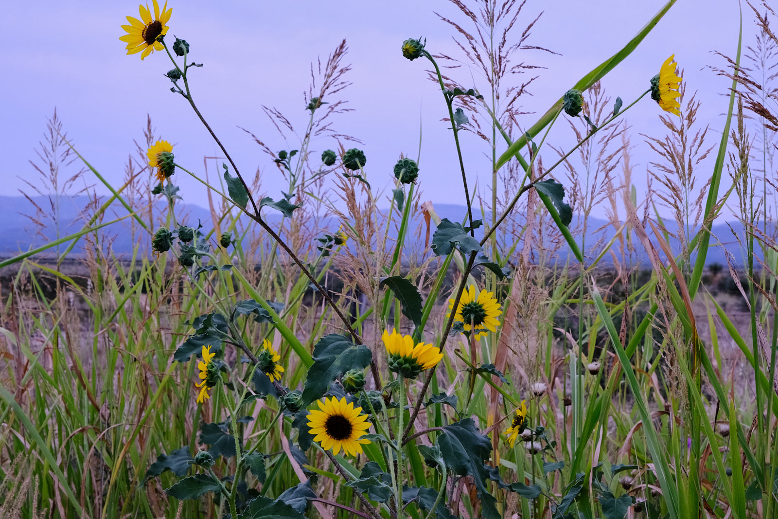 There is rain. There is this day. There is