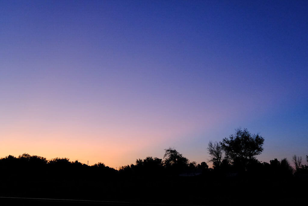 A few days are all it has.  —Henri Cole