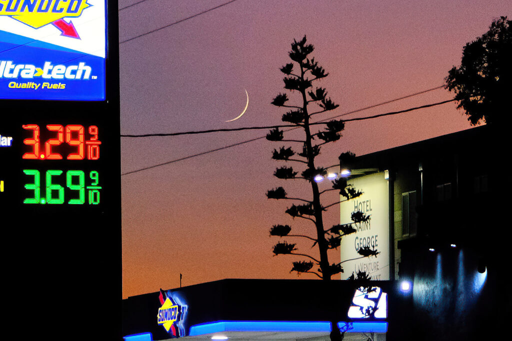 It is nearly summer. It is nearly autumn. —Bill Manhire