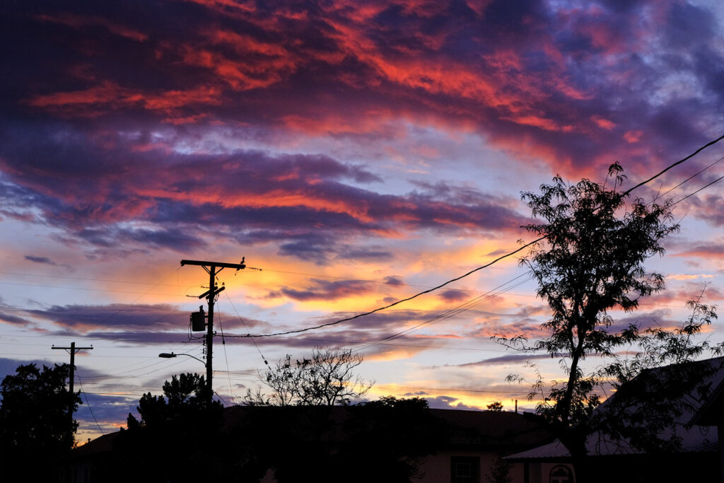 once lived, —Ada Limón