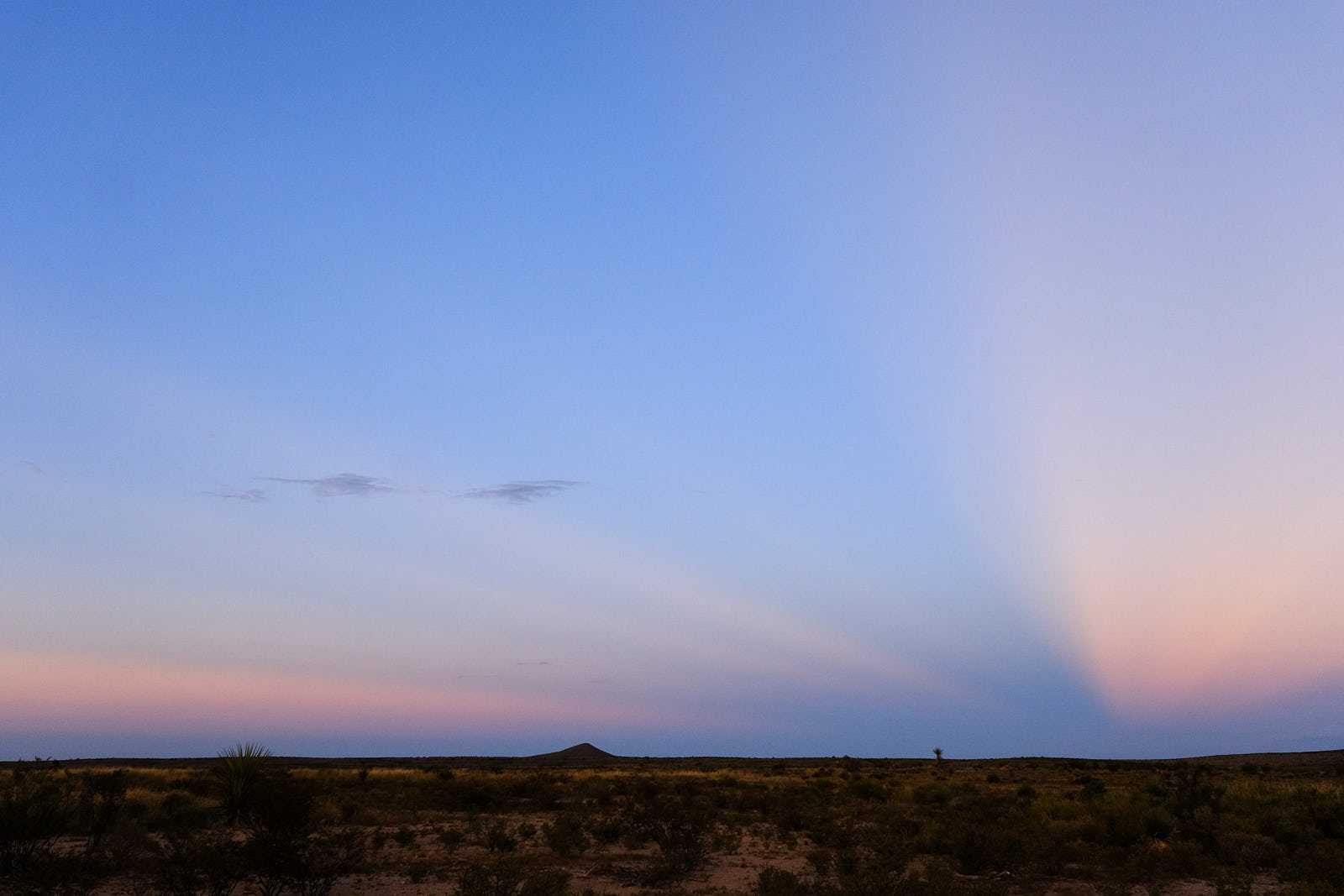 one wants in the end just once to befriend