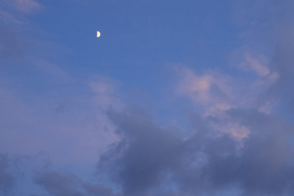 nitpicking my way through the world —Mary Ruefle