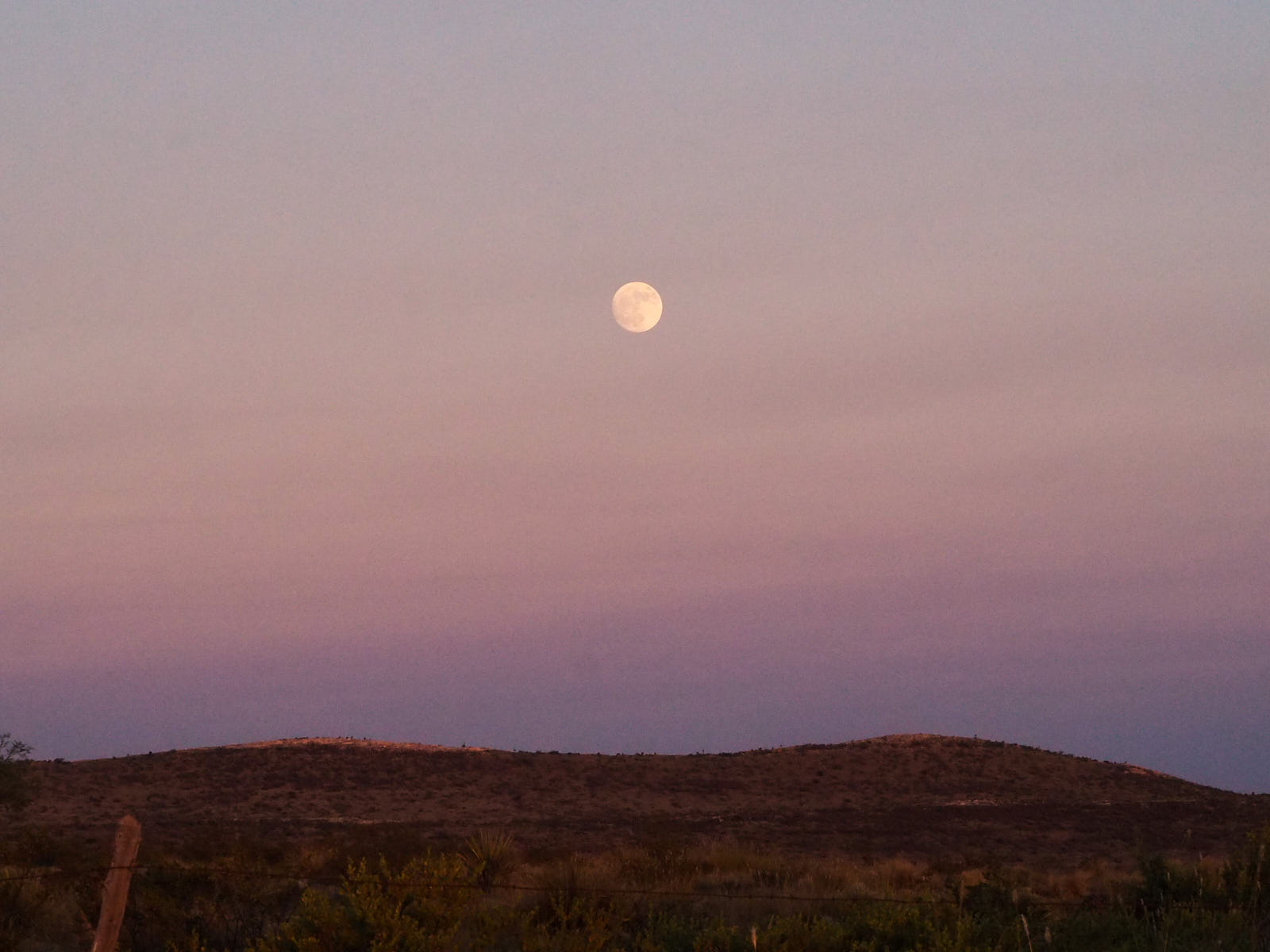 to desire everything