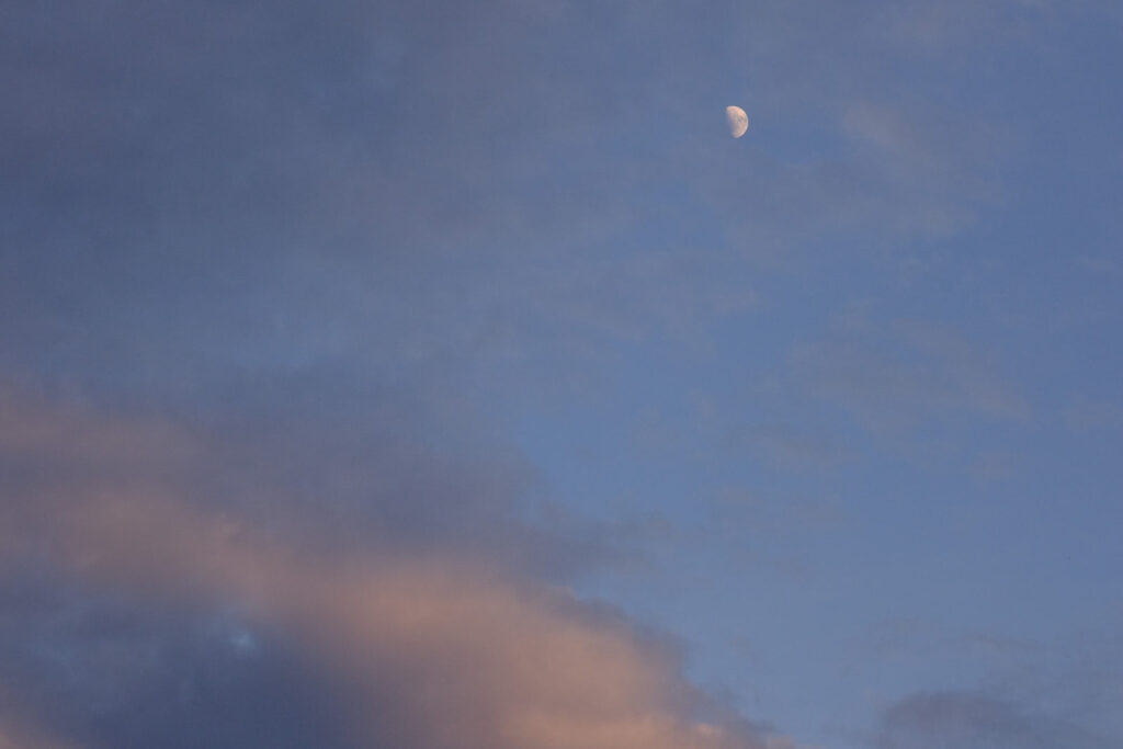 into acid jazz. —Wendy Xu