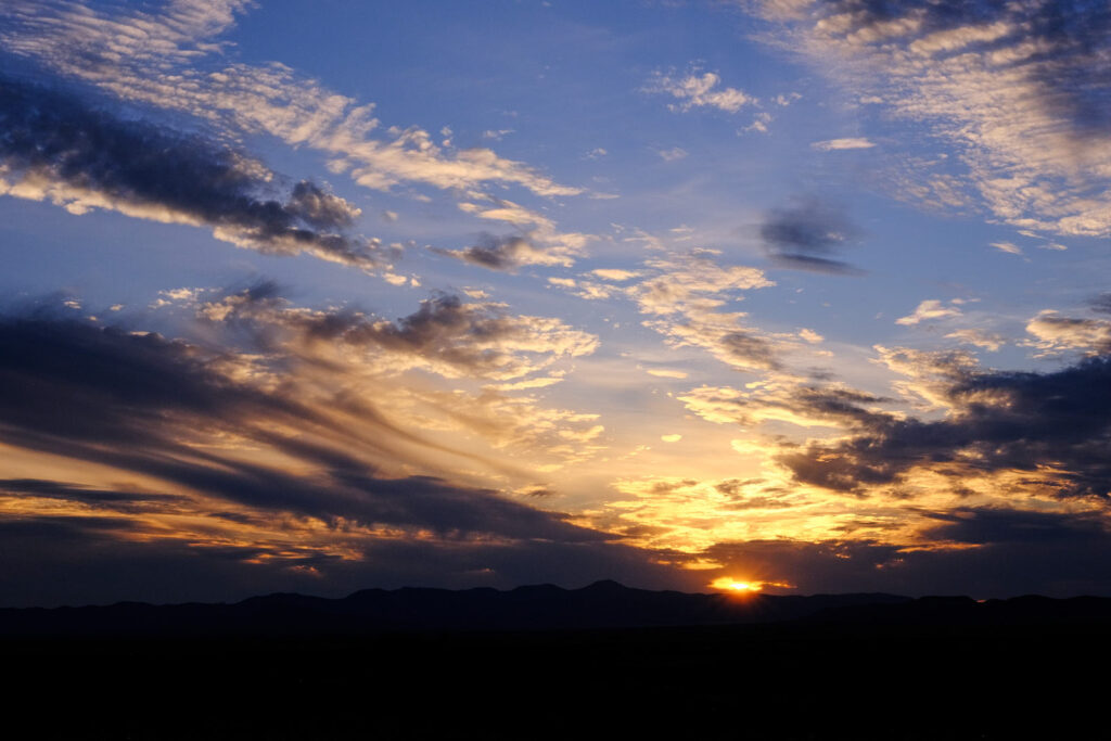 Says, life is for making