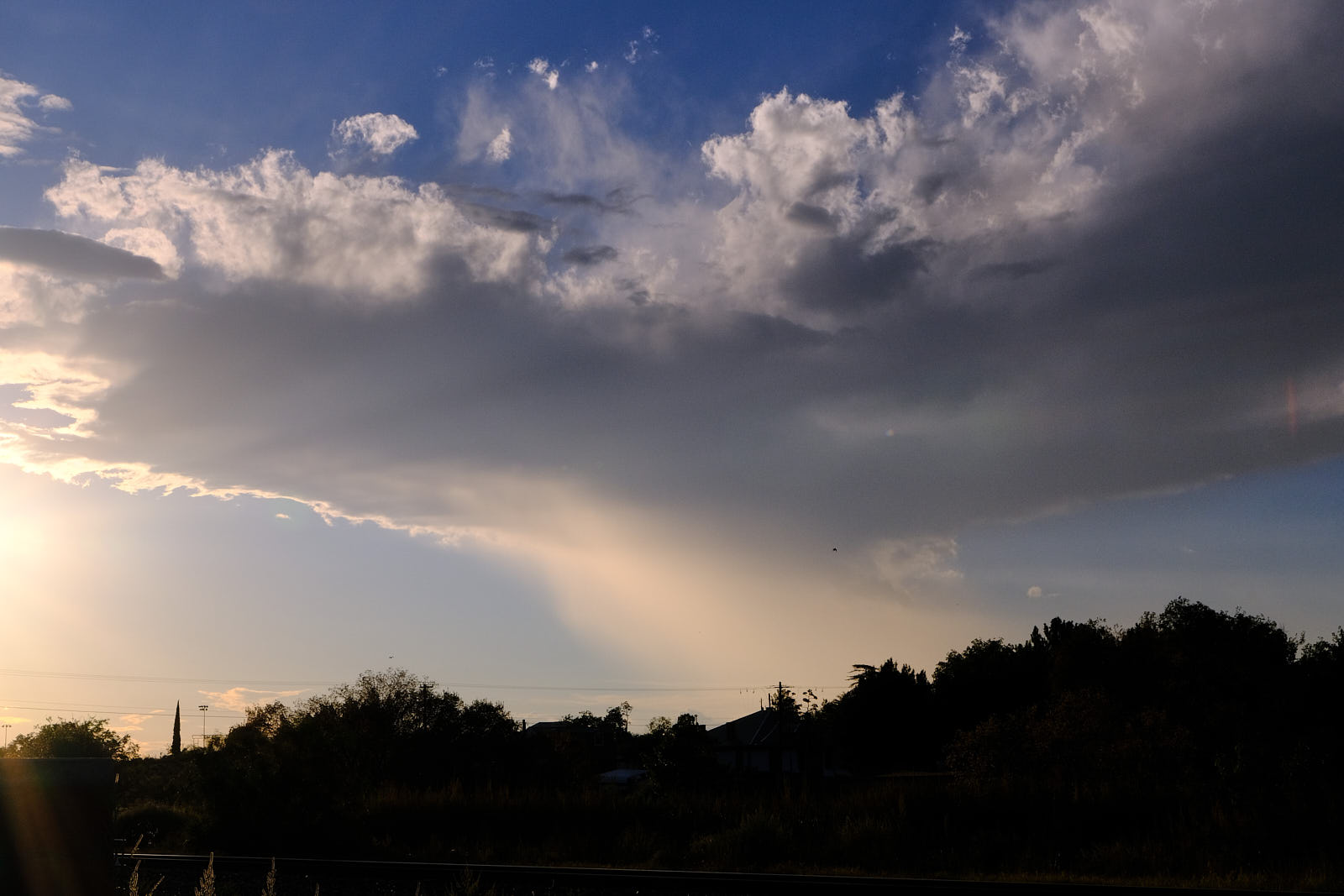 We shake with joy, we shake with grief.