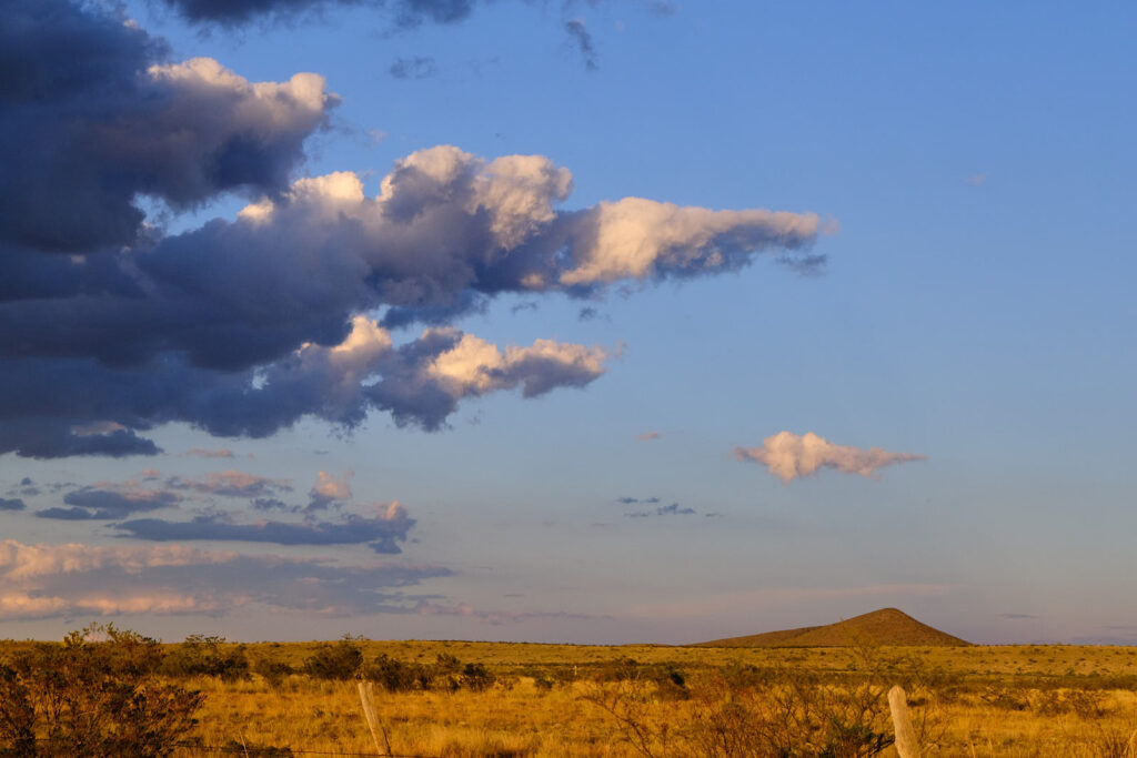 of the meadow into my mouth, and I can release it for the leaves’