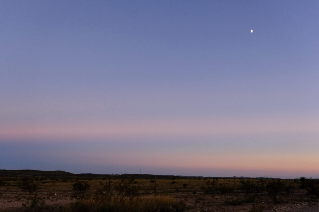 in order to break into blossom: