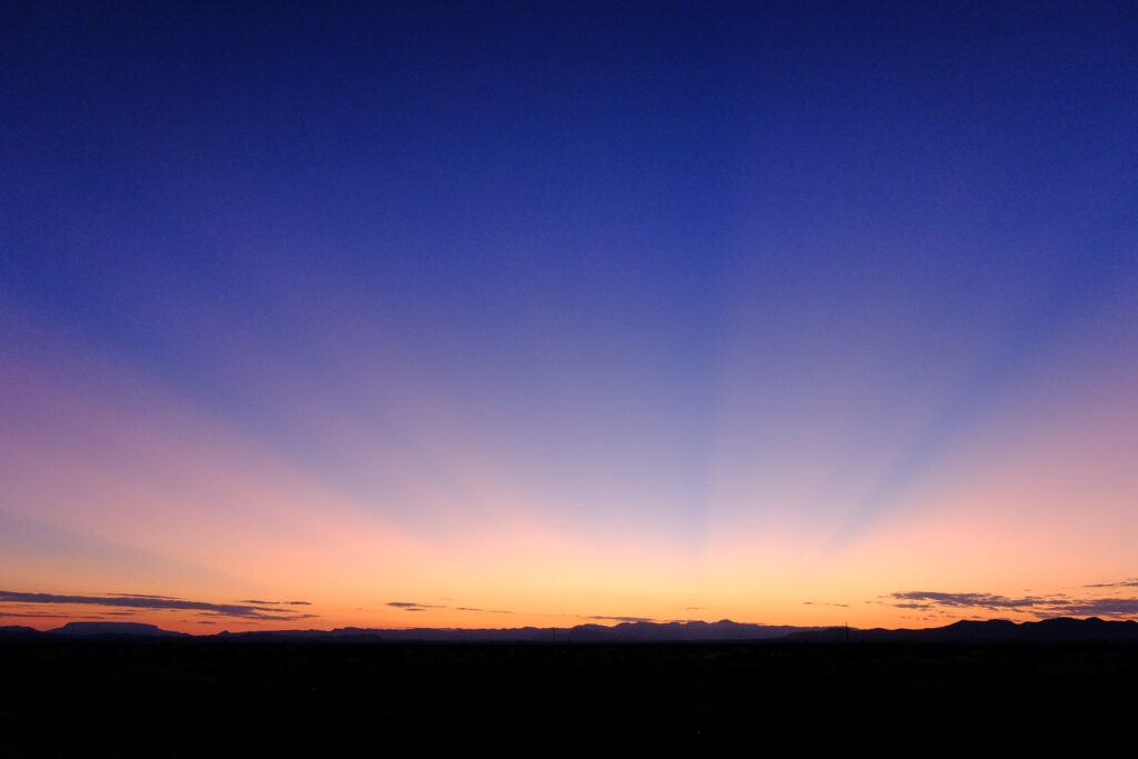 and become precious —Lisel Mueller