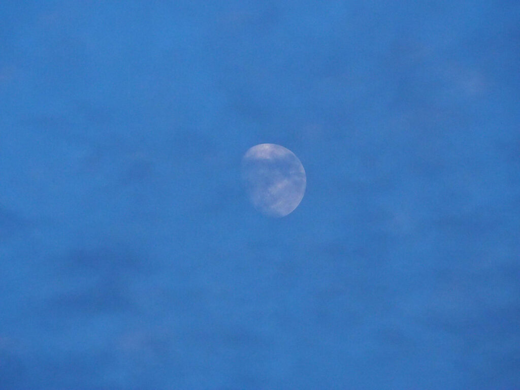 art and mistakes. —Isabelle Correa