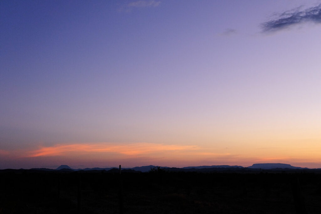 just what is meant. A gull always knows where water is.