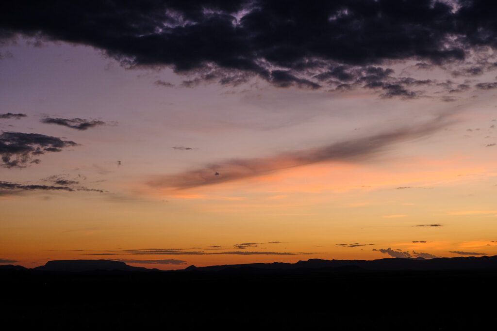 following us home. We use you