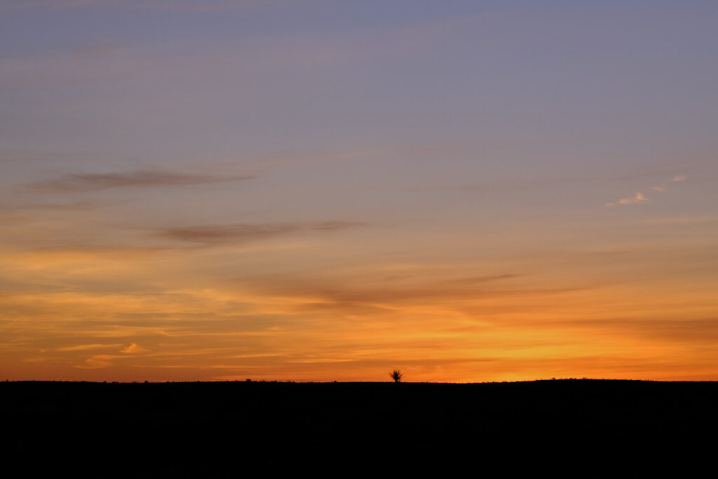 We wait for a bigger entity