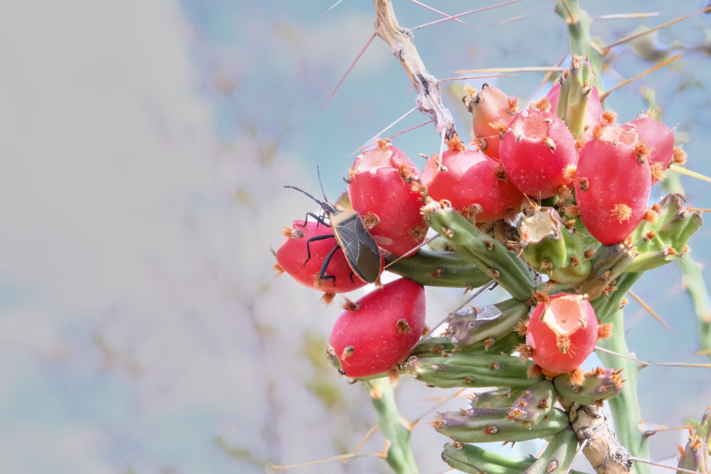 Before we’re let out