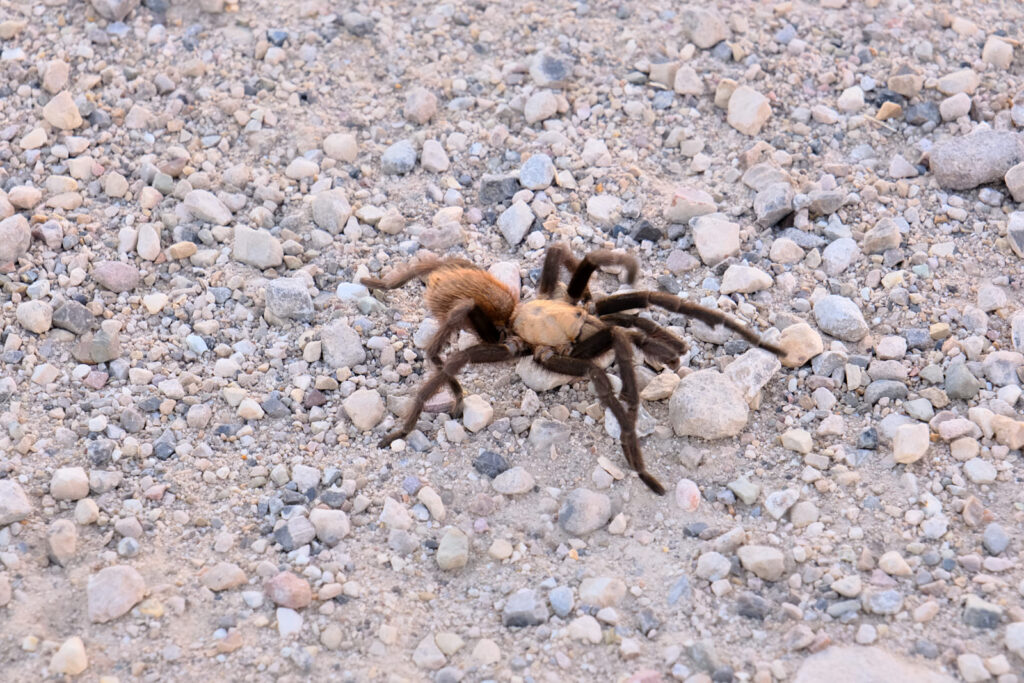 that the whole world