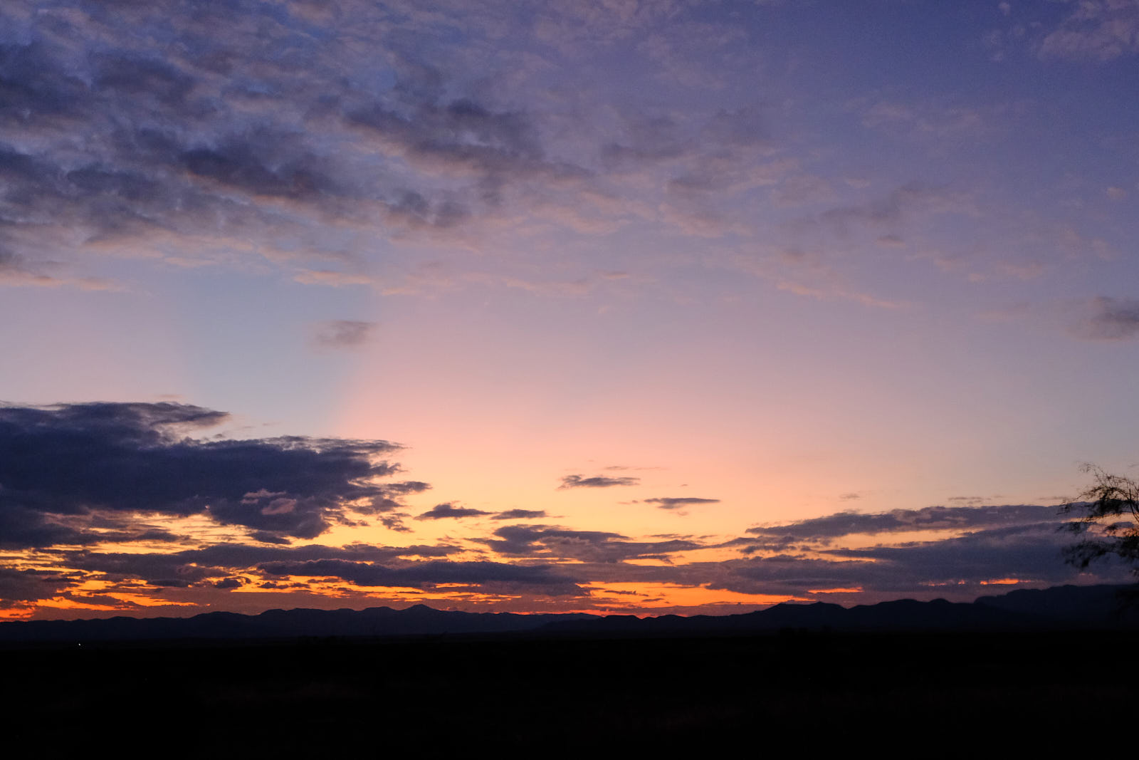 This scene has a tune