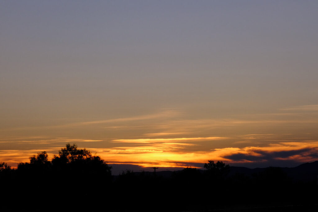 i place the world inside the light and look —Katrine Øgaard Jensen,
translated by Ursula Andkjær Olsen and others