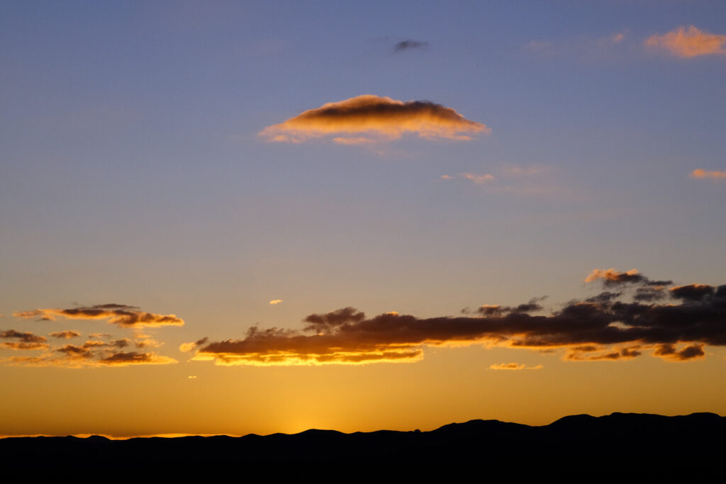 on the vocational chart, and I glorify everything I see,