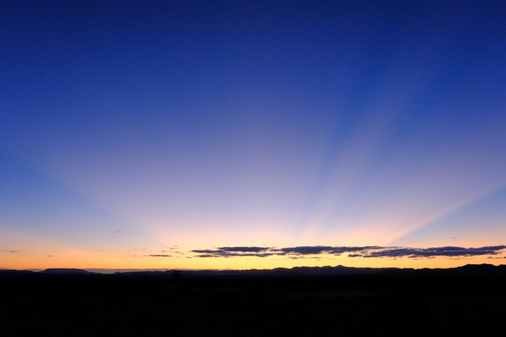 rolls back and leaves little shells. —Mary Ruefle