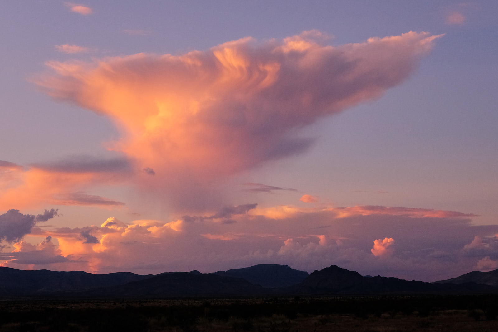 I live in a world in which rain falls on the bridge at noon. In which loneliness is never lonely for company.
