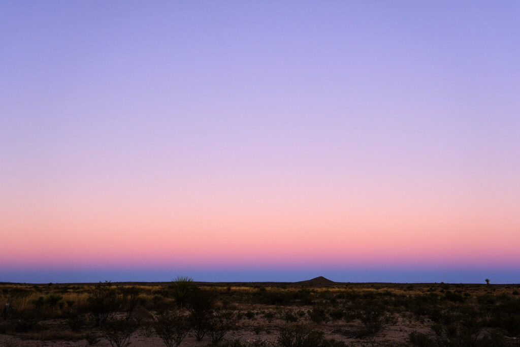 where the rarest wildflowers 