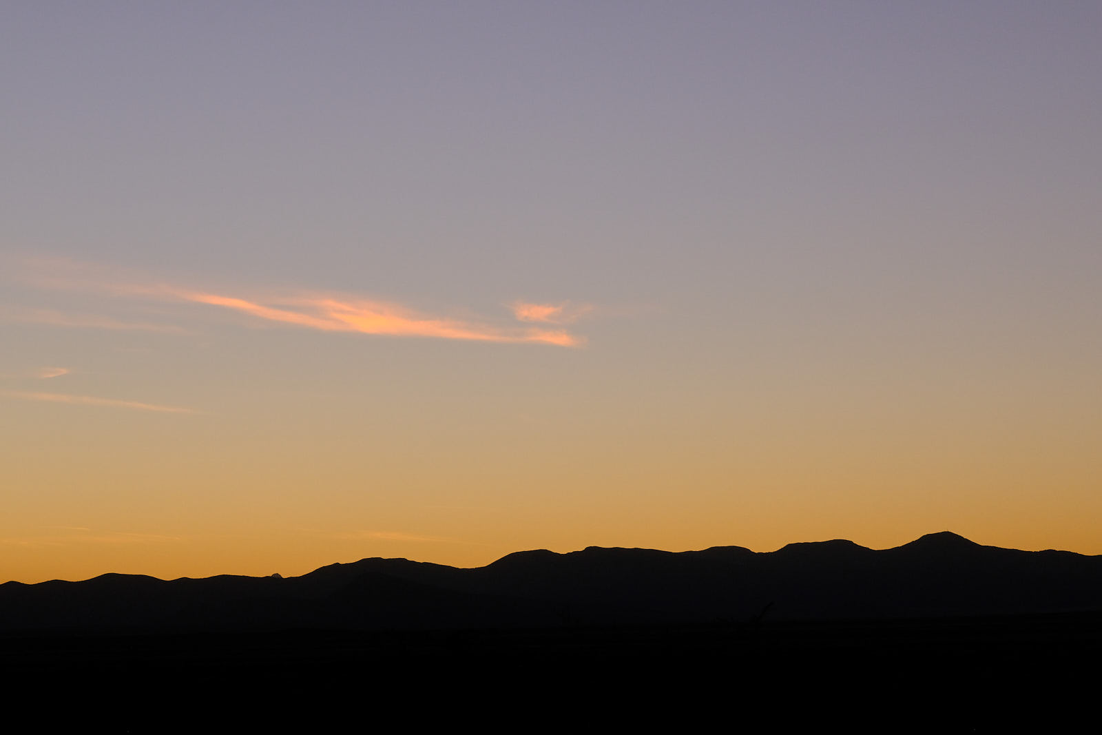 That was one bad dream.