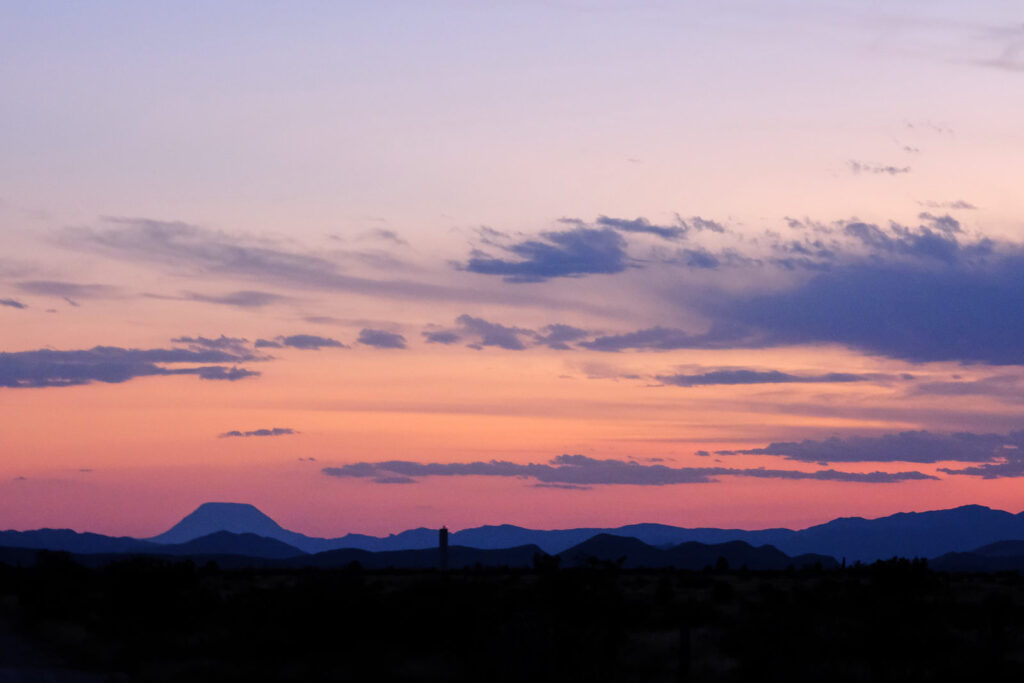 and they want out. I let them out.