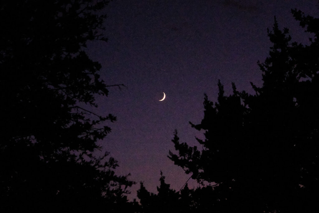 morning, the light deepening, the